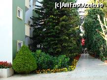 [P120]  -- <small>// FĂRĂ DESCRIERE</small> » foto by antalgbr
 - 
<span class="allrVoted glyphicon glyphicon-heart hidden" id="av115765"></span>
<a class="m-l-10 hidden" id="sv115765" onclick="voting_Foto_DelVot(,115765,8)" role="button">șterge vot <span class="glyphicon glyphicon-remove"></span></a>
<a id="v9115765" class=" c-red"  onclick="voting_Foto_SetVot(115765)" role="button"><span class="glyphicon glyphicon-heart-empty"></span> <b>LIKE</b> = Votează poza</a> <img class="hidden"  id="f115765W9" src="/imagini/loader.gif" border="0" /><span class="AjErrMes hidden" id="e115765ErM"></span>