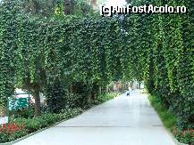 [P125]  -- <small>// FĂRĂ DESCRIERE</small> » foto by antalgbr
 - 
<span class="allrVoted glyphicon glyphicon-heart hidden" id="av115770"></span>
<a class="m-l-10 hidden" id="sv115770" onclick="voting_Foto_DelVot(,115770,8)" role="button">șterge vot <span class="glyphicon glyphicon-remove"></span></a>
<a id="v9115770" class=" c-red"  onclick="voting_Foto_SetVot(115770)" role="button"><span class="glyphicon glyphicon-heart-empty"></span> <b>LIKE</b> = Votează poza</a> <img class="hidden"  id="f115770W9" src="/imagini/loader.gif" border="0" /><span class="AjErrMes hidden" id="e115770ErM"></span>