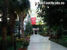 [P126]  -- <small>// FĂRĂ DESCRIERE</small> » foto by antalgbr
 - 
<span class="allrVoted glyphicon glyphicon-heart hidden" id="av115771"></span>
<a class="m-l-10 hidden" id="sv115771" onclick="voting_Foto_DelVot(,115771,8)" role="button">șterge vot <span class="glyphicon glyphicon-remove"></span></a>
<a id="v9115771" class=" c-red"  onclick="voting_Foto_SetVot(115771)" role="button"><span class="glyphicon glyphicon-heart-empty"></span> <b>LIKE</b> = Votează poza</a> <img class="hidden"  id="f115771W9" src="/imagini/loader.gif" border="0" /><span class="AjErrMes hidden" id="e115771ErM"></span>