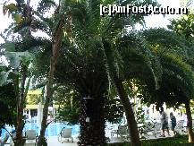 [P128]  -- <small>// FĂRĂ DESCRIERE</small> » foto by antalgbr
 - 
<span class="allrVoted glyphicon glyphicon-heart hidden" id="av115773"></span>
<a class="m-l-10 hidden" id="sv115773" onclick="voting_Foto_DelVot(,115773,8)" role="button">șterge vot <span class="glyphicon glyphicon-remove"></span></a>
<a id="v9115773" class=" c-red"  onclick="voting_Foto_SetVot(115773)" role="button"><span class="glyphicon glyphicon-heart-empty"></span> <b>LIKE</b> = Votează poza</a> <img class="hidden"  id="f115773W9" src="/imagini/loader.gif" border="0" /><span class="AjErrMes hidden" id="e115773ErM"></span>