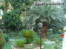 [P129]  -- <small>// FĂRĂ DESCRIERE</small> » foto by antalgbr
 - 
<span class="allrVoted glyphicon glyphicon-heart hidden" id="av115774"></span>
<a class="m-l-10 hidden" id="sv115774" onclick="voting_Foto_DelVot(,115774,8)" role="button">șterge vot <span class="glyphicon glyphicon-remove"></span></a>
<a id="v9115774" class=" c-red"  onclick="voting_Foto_SetVot(115774)" role="button"><span class="glyphicon glyphicon-heart-empty"></span> <b>LIKE</b> = Votează poza</a> <img class="hidden"  id="f115774W9" src="/imagini/loader.gif" border="0" /><span class="AjErrMes hidden" id="e115774ErM"></span>