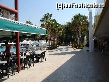 [P138]  -- <small>// FĂRĂ DESCRIERE</small> » foto by antalgbr
 - 
<span class="allrVoted glyphicon glyphicon-heart hidden" id="av115791"></span>
<a class="m-l-10 hidden" id="sv115791" onclick="voting_Foto_DelVot(,115791,8)" role="button">șterge vot <span class="glyphicon glyphicon-remove"></span></a>
<a id="v9115791" class=" c-red"  onclick="voting_Foto_SetVot(115791)" role="button"><span class="glyphicon glyphicon-heart-empty"></span> <b>LIKE</b> = Votează poza</a> <img class="hidden"  id="f115791W9" src="/imagini/loader.gif" border="0" /><span class="AjErrMes hidden" id="e115791ErM"></span>