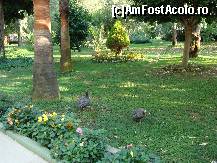 [P144]  -- <small>// FĂRĂ DESCRIERE</small> » foto by antalgbr
 - 
<span class="allrVoted glyphicon glyphicon-heart hidden" id="av115804"></span>
<a class="m-l-10 hidden" id="sv115804" onclick="voting_Foto_DelVot(,115804,8)" role="button">șterge vot <span class="glyphicon glyphicon-remove"></span></a>
<a id="v9115804" class=" c-red"  onclick="voting_Foto_SetVot(115804)" role="button"><span class="glyphicon glyphicon-heart-empty"></span> <b>LIKE</b> = Votează poza</a> <img class="hidden"  id="f115804W9" src="/imagini/loader.gif" border="0" /><span class="AjErrMes hidden" id="e115804ErM"></span>