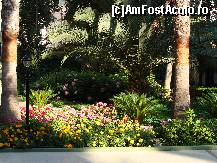 [P145]  -- <small>// FĂRĂ DESCRIERE</small> » foto by antalgbr
 - 
<span class="allrVoted glyphicon glyphicon-heart hidden" id="av115806"></span>
<a class="m-l-10 hidden" id="sv115806" onclick="voting_Foto_DelVot(,115806,8)" role="button">șterge vot <span class="glyphicon glyphicon-remove"></span></a>
<a id="v9115806" class=" c-red"  onclick="voting_Foto_SetVot(115806)" role="button"><span class="glyphicon glyphicon-heart-empty"></span> <b>LIKE</b> = Votează poza</a> <img class="hidden"  id="f115806W9" src="/imagini/loader.gif" border="0" /><span class="AjErrMes hidden" id="e115806ErM"></span>