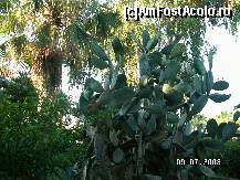 [P15]  -- <small>// FĂRĂ DESCRIERE</small> » foto by antalgbr
 - 
<span class="allrVoted glyphicon glyphicon-heart hidden" id="av109930"></span>
<a class="m-l-10 hidden" id="sv109930" onclick="voting_Foto_DelVot(,109930,8)" role="button">șterge vot <span class="glyphicon glyphicon-remove"></span></a>
<a id="v9109930" class=" c-red"  onclick="voting_Foto_SetVot(109930)" role="button"><span class="glyphicon glyphicon-heart-empty"></span> <b>LIKE</b> = Votează poza</a> <img class="hidden"  id="f109930W9" src="/imagini/loader.gif" border="0" /><span class="AjErrMes hidden" id="e109930ErM"></span>