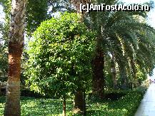 [P152]  -- <small>// FĂRĂ DESCRIERE</small> » foto by antalgbr
 - 
<span class="allrVoted glyphicon glyphicon-heart hidden" id="av115820"></span>
<a class="m-l-10 hidden" id="sv115820" onclick="voting_Foto_DelVot(,115820,8)" role="button">șterge vot <span class="glyphicon glyphicon-remove"></span></a>
<a id="v9115820" class=" c-red"  onclick="voting_Foto_SetVot(115820)" role="button"><span class="glyphicon glyphicon-heart-empty"></span> <b>LIKE</b> = Votează poza</a> <img class="hidden"  id="f115820W9" src="/imagini/loader.gif" border="0" /><span class="AjErrMes hidden" id="e115820ErM"></span>