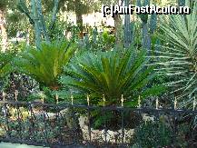 [P154]  -- <small>// FĂRĂ DESCRIERE</small> » foto by antalgbr
 - 
<span class="allrVoted glyphicon glyphicon-heart hidden" id="av115823"></span>
<a class="m-l-10 hidden" id="sv115823" onclick="voting_Foto_DelVot(,115823,8)" role="button">șterge vot <span class="glyphicon glyphicon-remove"></span></a>
<a id="v9115823" class=" c-red"  onclick="voting_Foto_SetVot(115823)" role="button"><span class="glyphicon glyphicon-heart-empty"></span> <b>LIKE</b> = Votează poza</a> <img class="hidden"  id="f115823W9" src="/imagini/loader.gif" border="0" /><span class="AjErrMes hidden" id="e115823ErM"></span>