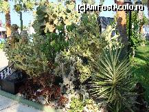 [P156]  -- <small>// FĂRĂ DESCRIERE</small> » foto by antalgbr
 - 
<span class="allrVoted glyphicon glyphicon-heart hidden" id="av115827"></span>
<a class="m-l-10 hidden" id="sv115827" onclick="voting_Foto_DelVot(,115827,8)" role="button">șterge vot <span class="glyphicon glyphicon-remove"></span></a>
<a id="v9115827" class=" c-red"  onclick="voting_Foto_SetVot(115827)" role="button"><span class="glyphicon glyphicon-heart-empty"></span> <b>LIKE</b> = Votează poza</a> <img class="hidden"  id="f115827W9" src="/imagini/loader.gif" border="0" /><span class="AjErrMes hidden" id="e115827ErM"></span>