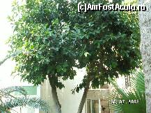 [P16]  -- <small>// FĂRĂ DESCRIERE</small> » foto by antalgbr
 - 
<span class="allrVoted glyphicon glyphicon-heart hidden" id="av109931"></span>
<a class="m-l-10 hidden" id="sv109931" onclick="voting_Foto_DelVot(,109931,8)" role="button">șterge vot <span class="glyphicon glyphicon-remove"></span></a>
<a id="v9109931" class=" c-red"  onclick="voting_Foto_SetVot(109931)" role="button"><span class="glyphicon glyphicon-heart-empty"></span> <b>LIKE</b> = Votează poza</a> <img class="hidden"  id="f109931W9" src="/imagini/loader.gif" border="0" /><span class="AjErrMes hidden" id="e109931ErM"></span>