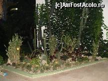 [P172] Credeti ca s-ar pastra asa neingrijiti? » foto by antalgbr
 - 
<span class="allrVoted glyphicon glyphicon-heart hidden" id="av115845"></span>
<a class="m-l-10 hidden" id="sv115845" onclick="voting_Foto_DelVot(,115845,8)" role="button">șterge vot <span class="glyphicon glyphicon-remove"></span></a>
<a id="v9115845" class=" c-red"  onclick="voting_Foto_SetVot(115845)" role="button"><span class="glyphicon glyphicon-heart-empty"></span> <b>LIKE</b> = Votează poza</a> <img class="hidden"  id="f115845W9" src="/imagini/loader.gif" border="0" /><span class="AjErrMes hidden" id="e115845ErM"></span>