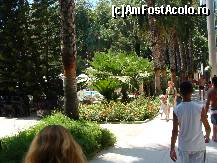 [P184]  -- <small>// FĂRĂ DESCRIERE</small> » foto by antalgbr
 - 
<span class="allrVoted glyphicon glyphicon-heart hidden" id="av115858"></span>
<a class="m-l-10 hidden" id="sv115858" onclick="voting_Foto_DelVot(,115858,8)" role="button">șterge vot <span class="glyphicon glyphicon-remove"></span></a>
<a id="v9115858" class=" c-red"  onclick="voting_Foto_SetVot(115858)" role="button"><span class="glyphicon glyphicon-heart-empty"></span> <b>LIKE</b> = Votează poza</a> <img class="hidden"  id="f115858W9" src="/imagini/loader.gif" border="0" /><span class="AjErrMes hidden" id="e115858ErM"></span>