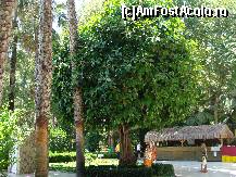 [P185]  -- <small>// FĂRĂ DESCRIERE</small> » foto by antalgbr
 - 
<span class="allrVoted glyphicon glyphicon-heart hidden" id="av115859"></span>
<a class="m-l-10 hidden" id="sv115859" onclick="voting_Foto_DelVot(,115859,8)" role="button">șterge vot <span class="glyphicon glyphicon-remove"></span></a>
<a id="v9115859" class=" c-red"  onclick="voting_Foto_SetVot(115859)" role="button"><span class="glyphicon glyphicon-heart-empty"></span> <b>LIKE</b> = Votează poza</a> <img class="hidden"  id="f115859W9" src="/imagini/loader.gif" border="0" /><span class="AjErrMes hidden" id="e115859ErM"></span>