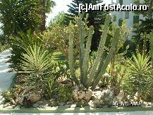 [P20]  -- <small>// FĂRĂ DESCRIERE</small> » foto by antalgbr
 - 
<span class="allrVoted glyphicon glyphicon-heart hidden" id="av109937"></span>
<a class="m-l-10 hidden" id="sv109937" onclick="voting_Foto_DelVot(,109937,8)" role="button">șterge vot <span class="glyphicon glyphicon-remove"></span></a>
<a id="v9109937" class=" c-red"  onclick="voting_Foto_SetVot(109937)" role="button"><span class="glyphicon glyphicon-heart-empty"></span> <b>LIKE</b> = Votează poza</a> <img class="hidden"  id="f109937W9" src="/imagini/loader.gif" border="0" /><span class="AjErrMes hidden" id="e109937ErM"></span>