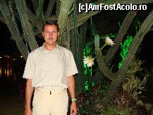 [P207] Langa cactusi. » foto by antalgbr
 - 
<span class="allrVoted glyphicon glyphicon-heart hidden" id="av115898"></span>
<a class="m-l-10 hidden" id="sv115898" onclick="voting_Foto_DelVot(,115898,8)" role="button">șterge vot <span class="glyphicon glyphicon-remove"></span></a>
<a id="v9115898" class=" c-red"  onclick="voting_Foto_SetVot(115898)" role="button"><span class="glyphicon glyphicon-heart-empty"></span> <b>LIKE</b> = Votează poza</a> <img class="hidden"  id="f115898W9" src="/imagini/loader.gif" border="0" /><span class="AjErrMes hidden" id="e115898ErM"></span>