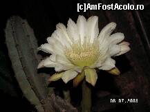 [P21]  -- <small>// FĂRĂ DESCRIERE</small> » foto by antalgbr
 - 
<span class="allrVoted glyphicon glyphicon-heart hidden" id="av109939"></span>
<a class="m-l-10 hidden" id="sv109939" onclick="voting_Foto_DelVot(,109939,8)" role="button">șterge vot <span class="glyphicon glyphicon-remove"></span></a>
<a id="v9109939" class=" c-red"  onclick="voting_Foto_SetVot(109939)" role="button"><span class="glyphicon glyphicon-heart-empty"></span> <b>LIKE</b> = Votează poza</a> <img class="hidden"  id="f109939W9" src="/imagini/loader.gif" border="0" /><span class="AjErrMes hidden" id="e109939ErM"></span>