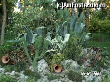 [P22]  -- <small>// FĂRĂ DESCRIERE</small> » foto by antalgbr
 - 
<span class="allrVoted glyphicon glyphicon-heart hidden" id="av109940"></span>
<a class="m-l-10 hidden" id="sv109940" onclick="voting_Foto_DelVot(,109940,8)" role="button">șterge vot <span class="glyphicon glyphicon-remove"></span></a>
<a id="v9109940" class=" c-red"  onclick="voting_Foto_SetVot(109940)" role="button"><span class="glyphicon glyphicon-heart-empty"></span> <b>LIKE</b> = Votează poza</a> <img class="hidden"  id="f109940W9" src="/imagini/loader.gif" border="0" /><span class="AjErrMes hidden" id="e109940ErM"></span>