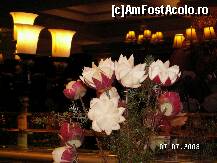 [P23]  -- <small>// FĂRĂ DESCRIERE</small> » foto by antalgbr
 - 
<span class="allrVoted glyphicon glyphicon-heart hidden" id="av109941"></span>
<a class="m-l-10 hidden" id="sv109941" onclick="voting_Foto_DelVot(,109941,8)" role="button">șterge vot <span class="glyphicon glyphicon-remove"></span></a>
<a id="v9109941" class=" c-red"  onclick="voting_Foto_SetVot(109941)" role="button"><span class="glyphicon glyphicon-heart-empty"></span> <b>LIKE</b> = Votează poza</a> <img class="hidden"  id="f109941W9" src="/imagini/loader.gif" border="0" /><span class="AjErrMes hidden" id="e109941ErM"></span>