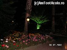 [P26]  -- <small>// FĂRĂ DESCRIERE</small> » foto by antalgbr
 - 
<span class="allrVoted glyphicon glyphicon-heart hidden" id="av109945"></span>
<a class="m-l-10 hidden" id="sv109945" onclick="voting_Foto_DelVot(,109945,8)" role="button">șterge vot <span class="glyphicon glyphicon-remove"></span></a>
<a id="v9109945" class=" c-red"  onclick="voting_Foto_SetVot(109945)" role="button"><span class="glyphicon glyphicon-heart-empty"></span> <b>LIKE</b> = Votează poza</a> <img class="hidden"  id="f109945W9" src="/imagini/loader.gif" border="0" /><span class="AjErrMes hidden" id="e109945ErM"></span>