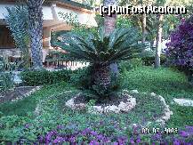 [P27]  -- <small>// FĂRĂ DESCRIERE</small> » foto by antalgbr
 - 
<span class="allrVoted glyphicon glyphicon-heart hidden" id="av109946"></span>
<a class="m-l-10 hidden" id="sv109946" onclick="voting_Foto_DelVot(,109946,8)" role="button">șterge vot <span class="glyphicon glyphicon-remove"></span></a>
<a id="v9109946" class=" c-red"  onclick="voting_Foto_SetVot(109946)" role="button"><span class="glyphicon glyphicon-heart-empty"></span> <b>LIKE</b> = Votează poza</a> <img class="hidden"  id="f109946W9" src="/imagini/loader.gif" border="0" /><span class="AjErrMes hidden" id="e109946ErM"></span>