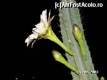 [P37]  -- <small>// FĂRĂ DESCRIERE</small> » foto by antalgbr
 - 
<span class="allrVoted glyphicon glyphicon-heart hidden" id="av109958"></span>
<a class="m-l-10 hidden" id="sv109958" onclick="voting_Foto_DelVot(,109958,8)" role="button">șterge vot <span class="glyphicon glyphicon-remove"></span></a>
<a id="v9109958" class=" c-red"  onclick="voting_Foto_SetVot(109958)" role="button"><span class="glyphicon glyphicon-heart-empty"></span> <b>LIKE</b> = Votează poza</a> <img class="hidden"  id="f109958W9" src="/imagini/loader.gif" border="0" /><span class="AjErrMes hidden" id="e109958ErM"></span>