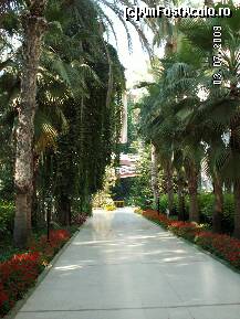 [P39]  -- <small>// FĂRĂ DESCRIERE</small> » foto by antalgbr
 - 
<span class="allrVoted glyphicon glyphicon-heart hidden" id="av109961"></span>
<a class="m-l-10 hidden" id="sv109961" onclick="voting_Foto_DelVot(,109961,8)" role="button">șterge vot <span class="glyphicon glyphicon-remove"></span></a>
<a id="v9109961" class=" c-red"  onclick="voting_Foto_SetVot(109961)" role="button"><span class="glyphicon glyphicon-heart-empty"></span> <b>LIKE</b> = Votează poza</a> <img class="hidden"  id="f109961W9" src="/imagini/loader.gif" border="0" /><span class="AjErrMes hidden" id="e109961ErM"></span>