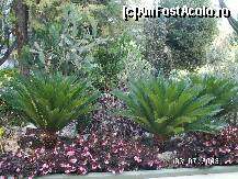 [P42]  -- <small>// FĂRĂ DESCRIERE</small> » foto by antalgbr
 - 
<span class="allrVoted glyphicon glyphicon-heart hidden" id="av109965"></span>
<a class="m-l-10 hidden" id="sv109965" onclick="voting_Foto_DelVot(,109965,8)" role="button">șterge vot <span class="glyphicon glyphicon-remove"></span></a>
<a id="v9109965" class=" c-red"  onclick="voting_Foto_SetVot(109965)" role="button"><span class="glyphicon glyphicon-heart-empty"></span> <b>LIKE</b> = Votează poza</a> <img class="hidden"  id="f109965W9" src="/imagini/loader.gif" border="0" /><span class="AjErrMes hidden" id="e109965ErM"></span>