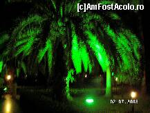 [P43]  -- <small>// FĂRĂ DESCRIERE</small> » foto by antalgbr
 - 
<span class="allrVoted glyphicon glyphicon-heart hidden" id="av109966"></span>
<a class="m-l-10 hidden" id="sv109966" onclick="voting_Foto_DelVot(,109966,8)" role="button">șterge vot <span class="glyphicon glyphicon-remove"></span></a>
<a id="v9109966" class=" c-red"  onclick="voting_Foto_SetVot(109966)" role="button"><span class="glyphicon glyphicon-heart-empty"></span> <b>LIKE</b> = Votează poza</a> <img class="hidden"  id="f109966W9" src="/imagini/loader.gif" border="0" /><span class="AjErrMes hidden" id="e109966ErM"></span>