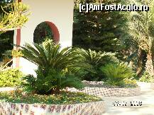 [P44]  -- <small>// FĂRĂ DESCRIERE</small> » foto by antalgbr
 - 
<span class="allrVoted glyphicon glyphicon-heart hidden" id="av109968"></span>
<a class="m-l-10 hidden" id="sv109968" onclick="voting_Foto_DelVot(,109968,8)" role="button">șterge vot <span class="glyphicon glyphicon-remove"></span></a>
<a id="v9109968" class=" c-red"  onclick="voting_Foto_SetVot(109968)" role="button"><span class="glyphicon glyphicon-heart-empty"></span> <b>LIKE</b> = Votează poza</a> <img class="hidden"  id="f109968W9" src="/imagini/loader.gif" border="0" /><span class="AjErrMes hidden" id="e109968ErM"></span>