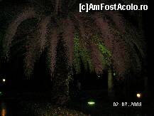 [P46]  -- <small>// FĂRĂ DESCRIERE</small> » foto by antalgbr
 - 
<span class="allrVoted glyphicon glyphicon-heart hidden" id="av109970"></span>
<a class="m-l-10 hidden" id="sv109970" onclick="voting_Foto_DelVot(,109970,8)" role="button">șterge vot <span class="glyphicon glyphicon-remove"></span></a>
<a id="v9109970" class=" c-red"  onclick="voting_Foto_SetVot(109970)" role="button"><span class="glyphicon glyphicon-heart-empty"></span> <b>LIKE</b> = Votează poza</a> <img class="hidden"  id="f109970W9" src="/imagini/loader.gif" border="0" /><span class="AjErrMes hidden" id="e109970ErM"></span>