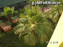 [P47]  -- <small>// FĂRĂ DESCRIERE</small> » foto by antalgbr
 - 
<span class="allrVoted glyphicon glyphicon-heart hidden" id="av109972"></span>
<a class="m-l-10 hidden" id="sv109972" onclick="voting_Foto_DelVot(,109972,8)" role="button">șterge vot <span class="glyphicon glyphicon-remove"></span></a>
<a id="v9109972" class=" c-red"  onclick="voting_Foto_SetVot(109972)" role="button"><span class="glyphicon glyphicon-heart-empty"></span> <b>LIKE</b> = Votează poza</a> <img class="hidden"  id="f109972W9" src="/imagini/loader.gif" border="0" /><span class="AjErrMes hidden" id="e109972ErM"></span>