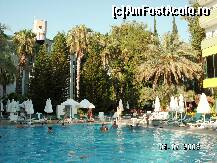 [P52]  -- <small>// FĂRĂ DESCRIERE</small> » foto by antalgbr
 - 
<span class="allrVoted glyphicon glyphicon-heart hidden" id="av109979"></span>
<a class="m-l-10 hidden" id="sv109979" onclick="voting_Foto_DelVot(,109979,8)" role="button">șterge vot <span class="glyphicon glyphicon-remove"></span></a>
<a id="v9109979" class=" c-red"  onclick="voting_Foto_SetVot(109979)" role="button"><span class="glyphicon glyphicon-heart-empty"></span> <b>LIKE</b> = Votează poza</a> <img class="hidden"  id="f109979W9" src="/imagini/loader.gif" border="0" /><span class="AjErrMes hidden" id="e109979ErM"></span>