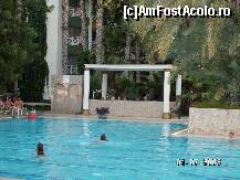 [P54]  -- <small>// FĂRĂ DESCRIERE</small> » foto by antalgbr
 - 
<span class="allrVoted glyphicon glyphicon-heart hidden" id="av109982"></span>
<a class="m-l-10 hidden" id="sv109982" onclick="voting_Foto_DelVot(,109982,8)" role="button">șterge vot <span class="glyphicon glyphicon-remove"></span></a>
<a id="v9109982" class=" c-red"  onclick="voting_Foto_SetVot(109982)" role="button"><span class="glyphicon glyphicon-heart-empty"></span> <b>LIKE</b> = Votează poza</a> <img class="hidden"  id="f109982W9" src="/imagini/loader.gif" border="0" /><span class="AjErrMes hidden" id="e109982ErM"></span>