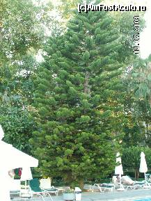 [P55]  -- <small>// FĂRĂ DESCRIERE</small> » foto by antalgbr
 - 
<span class="allrVoted glyphicon glyphicon-heart hidden" id="av109987"></span>
<a class="m-l-10 hidden" id="sv109987" onclick="voting_Foto_DelVot(,109987,8)" role="button">șterge vot <span class="glyphicon glyphicon-remove"></span></a>
<a id="v9109987" class=" c-red"  onclick="voting_Foto_SetVot(109987)" role="button"><span class="glyphicon glyphicon-heart-empty"></span> <b>LIKE</b> = Votează poza</a> <img class="hidden"  id="f109987W9" src="/imagini/loader.gif" border="0" /><span class="AjErrMes hidden" id="e109987ErM"></span>