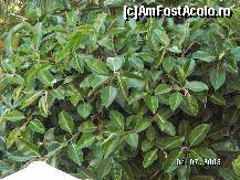 [P56]  -- <small>// FĂRĂ DESCRIERE</small> » foto by antalgbr
 - 
<span class="allrVoted glyphicon glyphicon-heart hidden" id="av109991"></span>
<a class="m-l-10 hidden" id="sv109991" onclick="voting_Foto_DelVot(,109991,8)" role="button">șterge vot <span class="glyphicon glyphicon-remove"></span></a>
<a id="v9109991" class=" c-red"  onclick="voting_Foto_SetVot(109991)" role="button"><span class="glyphicon glyphicon-heart-empty"></span> <b>LIKE</b> = Votează poza</a> <img class="hidden"  id="f109991W9" src="/imagini/loader.gif" border="0" /><span class="AjErrMes hidden" id="e109991ErM"></span>