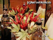 [P69]  -- <small>// FĂRĂ DESCRIERE</small> » foto by antalgbr
 - 
<span class="allrVoted glyphicon glyphicon-heart hidden" id="av110021"></span>
<a class="m-l-10 hidden" id="sv110021" onclick="voting_Foto_DelVot(,110021,8)" role="button">șterge vot <span class="glyphicon glyphicon-remove"></span></a>
<a id="v9110021" class=" c-red"  onclick="voting_Foto_SetVot(110021)" role="button"><span class="glyphicon glyphicon-heart-empty"></span> <b>LIKE</b> = Votează poza</a> <img class="hidden"  id="f110021W9" src="/imagini/loader.gif" border="0" /><span class="AjErrMes hidden" id="e110021ErM"></span>