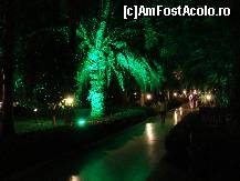 [P77] Alee din complex. » foto by antalgbr
 - 
<span class="allrVoted glyphicon glyphicon-heart hidden" id="av115722"></span>
<a class="m-l-10 hidden" id="sv115722" onclick="voting_Foto_DelVot(,115722,8)" role="button">șterge vot <span class="glyphicon glyphicon-remove"></span></a>
<a id="v9115722" class=" c-red"  onclick="voting_Foto_SetVot(115722)" role="button"><span class="glyphicon glyphicon-heart-empty"></span> <b>LIKE</b> = Votează poza</a> <img class="hidden"  id="f115722W9" src="/imagini/loader.gif" border="0" /><span class="AjErrMes hidden" id="e115722ErM"></span>