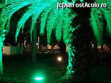 [P85] Poate insist prea mult cu pozele despre plantele din gradina botanica,dar turcii chiar stiu sa le puna in valoare,si sa le ingrijeasca. » foto by antalgbr
 - 
<span class="allrVoted glyphicon glyphicon-heart hidden" id="av115730"></span>
<a class="m-l-10 hidden" id="sv115730" onclick="voting_Foto_DelVot(,115730,8)" role="button">șterge vot <span class="glyphicon glyphicon-remove"></span></a>
<a id="v9115730" class=" c-red"  onclick="voting_Foto_SetVot(115730)" role="button"><span class="glyphicon glyphicon-heart-empty"></span> <b>LIKE</b> = Votează poza</a> <img class="hidden"  id="f115730W9" src="/imagini/loader.gif" border="0" /><span class="AjErrMes hidden" id="e115730ErM"></span>