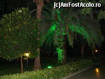 [P87]  -- <small>// FĂRĂ DESCRIERE</small> » foto by antalgbr
 - 
<span class="allrVoted glyphicon glyphicon-heart hidden" id="av115732"></span>
<a class="m-l-10 hidden" id="sv115732" onclick="voting_Foto_DelVot(,115732,8)" role="button">șterge vot <span class="glyphicon glyphicon-remove"></span></a>
<a id="v9115732" class=" c-red"  onclick="voting_Foto_SetVot(115732)" role="button"><span class="glyphicon glyphicon-heart-empty"></span> <b>LIKE</b> = Votează poza</a> <img class="hidden"  id="f115732W9" src="/imagini/loader.gif" border="0" /><span class="AjErrMes hidden" id="e115732ErM"></span>