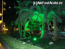 [P88]  -- <small>// FĂRĂ DESCRIERE</small> » foto by antalgbr
 - 
<span class="allrVoted glyphicon glyphicon-heart hidden" id="av115733"></span>
<a class="m-l-10 hidden" id="sv115733" onclick="voting_Foto_DelVot(,115733,8)" role="button">șterge vot <span class="glyphicon glyphicon-remove"></span></a>
<a id="v9115733" class=" c-red"  onclick="voting_Foto_SetVot(115733)" role="button"><span class="glyphicon glyphicon-heart-empty"></span> <b>LIKE</b> = Votează poza</a> <img class="hidden"  id="f115733W9" src="/imagini/loader.gif" border="0" /><span class="AjErrMes hidden" id="e115733ErM"></span>