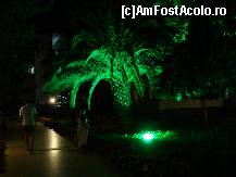 [P89]  -- <small>// FĂRĂ DESCRIERE</small> » foto by antalgbr
 - 
<span class="allrVoted glyphicon glyphicon-heart hidden" id="av115734"></span>
<a class="m-l-10 hidden" id="sv115734" onclick="voting_Foto_DelVot(,115734,8)" role="button">șterge vot <span class="glyphicon glyphicon-remove"></span></a>
<a id="v9115734" class=" c-red"  onclick="voting_Foto_SetVot(115734)" role="button"><span class="glyphicon glyphicon-heart-empty"></span> <b>LIKE</b> = Votează poza</a> <img class="hidden"  id="f115734W9" src="/imagini/loader.gif" border="0" /><span class="AjErrMes hidden" id="e115734ErM"></span>