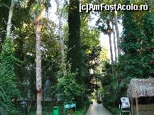 [P99]  -- <small>// FĂRĂ DESCRIERE</small> » foto by antalgbr
 - 
<span class="allrVoted glyphicon glyphicon-heart hidden" id="av115744"></span>
<a class="m-l-10 hidden" id="sv115744" onclick="voting_Foto_DelVot(,115744,8)" role="button">șterge vot <span class="glyphicon glyphicon-remove"></span></a>
<a id="v9115744" class=" c-red"  onclick="voting_Foto_SetVot(115744)" role="button"><span class="glyphicon glyphicon-heart-empty"></span> <b>LIKE</b> = Votează poza</a> <img class="hidden"  id="f115744W9" src="/imagini/loader.gif" border="0" /><span class="AjErrMes hidden" id="e115744ErM"></span>