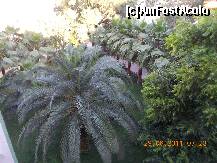 [P38] fotografie din balconul situat la etajul 4 in corpul TROPIC » foto by Tsunami
 - 
<span class="allrVoted glyphicon glyphicon-heart hidden" id="av234297"></span>
<a class="m-l-10 hidden" id="sv234297" onclick="voting_Foto_DelVot(,234297,8)" role="button">șterge vot <span class="glyphicon glyphicon-remove"></span></a>
<a id="v9234297" class=" c-red"  onclick="voting_Foto_SetVot(234297)" role="button"><span class="glyphicon glyphicon-heart-empty"></span> <b>LIKE</b> = Votează poza</a> <img class="hidden"  id="f234297W9" src="/imagini/loader.gif" border="0" /><span class="AjErrMes hidden" id="e234297ErM"></span>