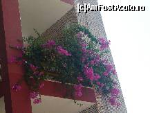 [P18]  -- <small>// FĂRĂ DESCRIERE</small> » foto by filisemin
 - 
<span class="allrVoted glyphicon glyphicon-heart hidden" id="av145746"></span>
<a class="m-l-10 hidden" id="sv145746" onclick="voting_Foto_DelVot(,145746,8)" role="button">șterge vot <span class="glyphicon glyphicon-remove"></span></a>
<a id="v9145746" class=" c-red"  onclick="voting_Foto_SetVot(145746)" role="button"><span class="glyphicon glyphicon-heart-empty"></span> <b>LIKE</b> = Votează poza</a> <img class="hidden"  id="f145746W9" src="/imagini/loader.gif" border="0" /><span class="AjErrMes hidden" id="e145746ErM"></span>