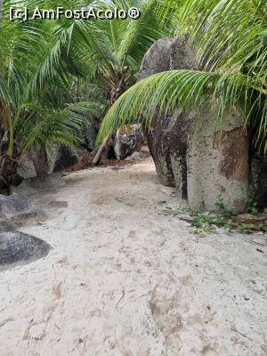 [P35] Anse Source d'Argent Beach » foto by robert
 - 
<span class="allrVoted glyphicon glyphicon-heart hidden" id="av1367539"></span>
<a class="m-l-10 hidden" id="sv1367539" onclick="voting_Foto_DelVot(,1367539,847)" role="button">șterge vot <span class="glyphicon glyphicon-remove"></span></a>
<a id="v91367539" class=" c-red"  onclick="voting_Foto_SetVot(1367539)" role="button"><span class="glyphicon glyphicon-heart-empty"></span> <b>LIKE</b> = Votează poza</a> <img class="hidden"  id="f1367539W9" src="/imagini/loader.gif" border="0" /><span class="AjErrMes hidden" id="e1367539ErM"></span>