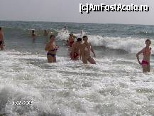 [P50]  -- <small>// FĂRĂ DESCRIERE</small> » foto by antalgbr
 - 
<span class="allrVoted glyphicon glyphicon-heart hidden" id="av112880"></span>
<a class="m-l-10 hidden" id="sv112880" onclick="voting_Foto_DelVot(,112880,881)" role="button">șterge vot <span class="glyphicon glyphicon-remove"></span></a>
<a id="v9112880" class=" c-red"  onclick="voting_Foto_SetVot(112880)" role="button"><span class="glyphicon glyphicon-heart-empty"></span> <b>LIKE</b> = Votează poza</a> <img class="hidden"  id="f112880W9" src="/imagini/loader.gif" border="0" /><span class="AjErrMes hidden" id="e112880ErM"></span>