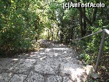 [P15] Vestitele trepte care trebuie urcate in drumul de la plaja la hotel » foto by alex1968
 - 
<span class="allrVoted glyphicon glyphicon-heart hidden" id="av243281"></span>
<a class="m-l-10 hidden" id="sv243281" onclick="voting_Foto_DelVot(,243281,881)" role="button">șterge vot <span class="glyphicon glyphicon-remove"></span></a>
<a id="v9243281" class=" c-red"  onclick="voting_Foto_SetVot(243281)" role="button"><span class="glyphicon glyphicon-heart-empty"></span> <b>LIKE</b> = Votează poza</a> <img class="hidden"  id="f243281W9" src="/imagini/loader.gif" border="0" /><span class="AjErrMes hidden" id="e243281ErM"></span>