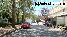 [P39] Vremea e de plaja, cam putini oameni pe strada » foto by kelyboy
 - 
<span class="allrVoted glyphicon glyphicon-heart hidden" id="av418763"></span>
<a class="m-l-10 hidden" id="sv418763" onclick="voting_Foto_DelVot(,418763,920)" role="button">șterge vot <span class="glyphicon glyphicon-remove"></span></a>
<a id="v9418763" class=" c-red"  onclick="voting_Foto_SetVot(418763)" role="button"><span class="glyphicon glyphicon-heart-empty"></span> <b>LIKE</b> = Votează poza</a> <img class="hidden"  id="f418763W9" src="/imagini/loader.gif" border="0" /><span class="AjErrMes hidden" id="e418763ErM"></span>