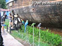 [P01] astia papagali nu...! » foto by ecosistem
 - 
<span class="allrVoted glyphicon glyphicon-heart hidden" id="av120643"></span>
<a class="m-l-10 hidden" id="sv120643" onclick="voting_Foto_DelVot(,120643,921)" role="button">șterge vot <span class="glyphicon glyphicon-remove"></span></a>
<a id="v9120643" class=" c-red"  onclick="voting_Foto_SetVot(120643)" role="button"><span class="glyphicon glyphicon-heart-empty"></span> <b>LIKE</b> = Votează poza</a> <img class="hidden"  id="f120643W9" src="/imagini/loader.gif" border="0" /><span class="AjErrMes hidden" id="e120643ErM"></span>