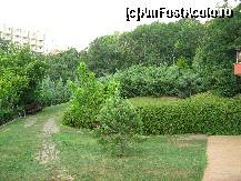 [P16]  -- <small>// FĂRĂ DESCRIERE</small> » foto by ecosistem
 - 
<span class="allrVoted glyphicon glyphicon-heart hidden" id="av120664"></span>
<a class="m-l-10 hidden" id="sv120664" onclick="voting_Foto_DelVot(,120664,921)" role="button">șterge vot <span class="glyphicon glyphicon-remove"></span></a>
<a id="v9120664" class=" c-red"  onclick="voting_Foto_SetVot(120664)" role="button"><span class="glyphicon glyphicon-heart-empty"></span> <b>LIKE</b> = Votează poza</a> <img class="hidden"  id="f120664W9" src="/imagini/loader.gif" border="0" /><span class="AjErrMes hidden" id="e120664ErM"></span>