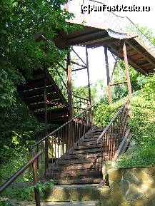 [P23]  -- <small>// FĂRĂ DESCRIERE</small> » foto by ecosistem
 - 
<span class="allrVoted glyphicon glyphicon-heart hidden" id="av120672"></span>
<a class="m-l-10 hidden" id="sv120672" onclick="voting_Foto_DelVot(,120672,921)" role="button">șterge vot <span class="glyphicon glyphicon-remove"></span></a>
<a id="v9120672" class=" c-red"  onclick="voting_Foto_SetVot(120672)" role="button"><span class="glyphicon glyphicon-heart-empty"></span> <b>LIKE</b> = Votează poza</a> <img class="hidden"  id="f120672W9" src="/imagini/loader.gif" border="0" /><span class="AjErrMes hidden" id="e120672ErM"></span>